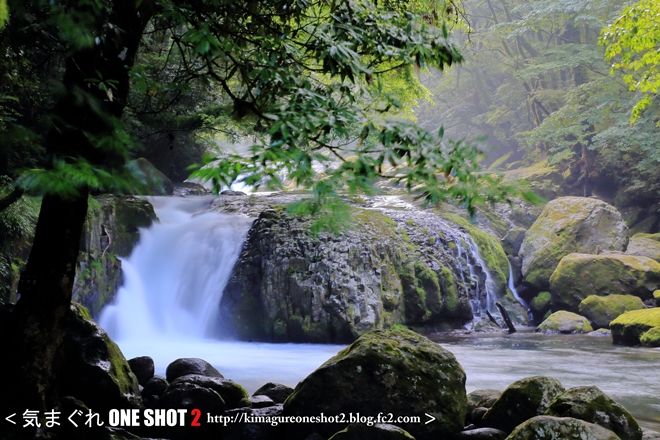 EOS 5D Mark III_kimagure_09295