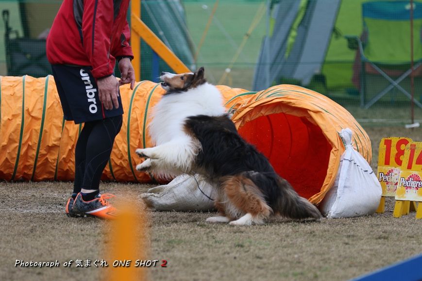EOS 7D Mark II_kimagure_03080_R